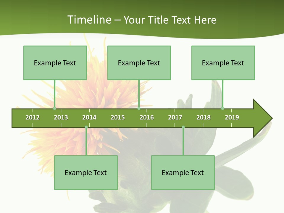 Tinctorius Orange Close PowerPoint Template