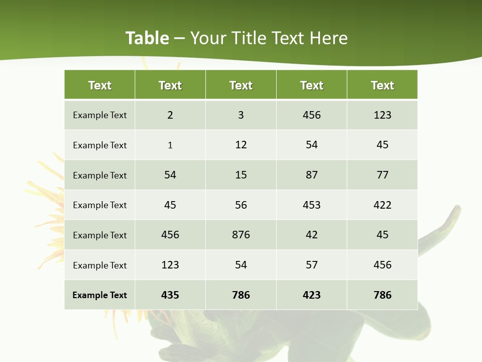 Tinctorius Orange Close PowerPoint Template
