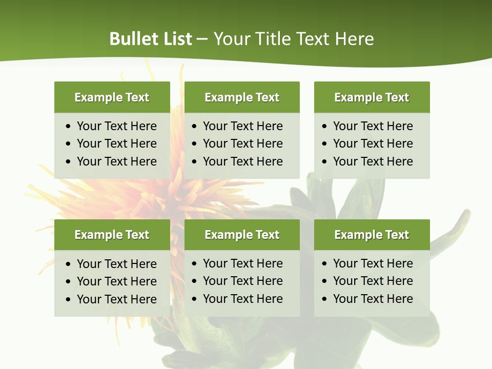 Tinctorius Orange Close PowerPoint Template
