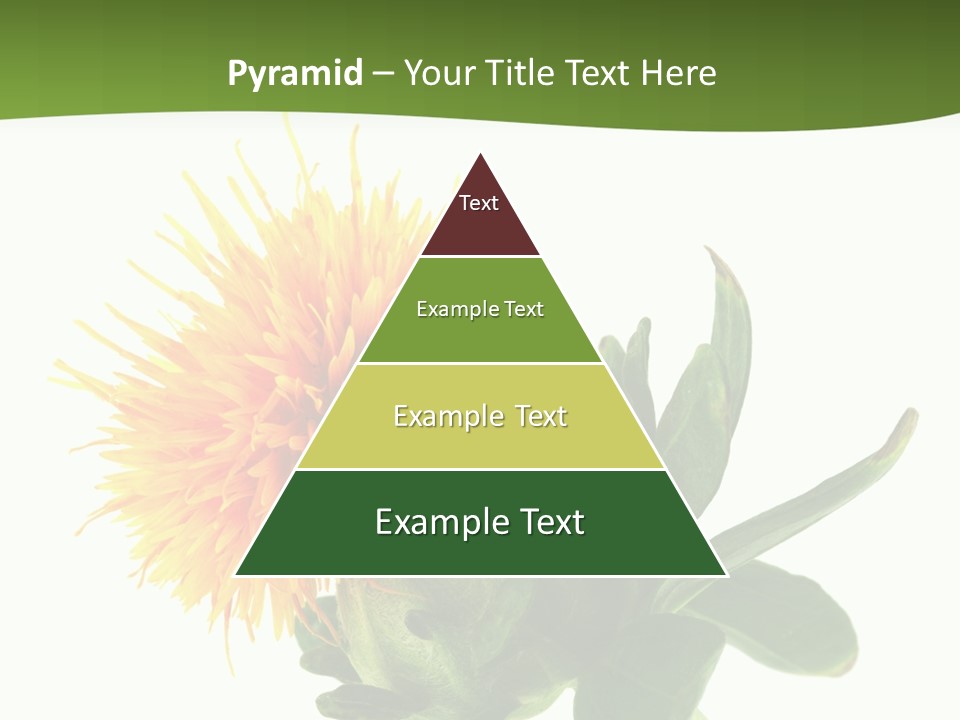 Tinctorius Orange Close PowerPoint Template
