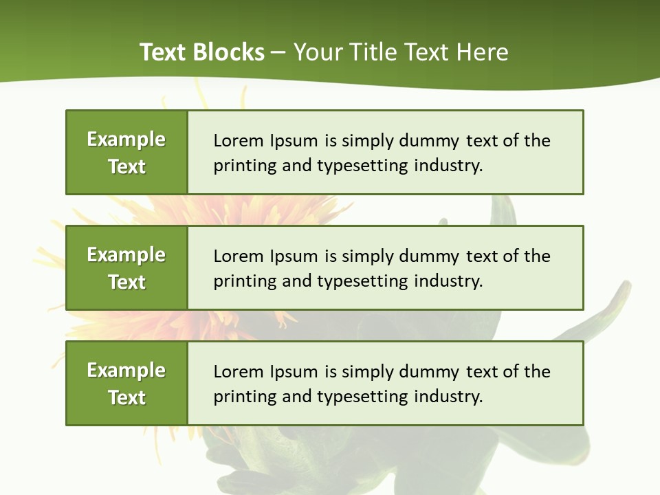 Tinctorius Orange Close PowerPoint Template