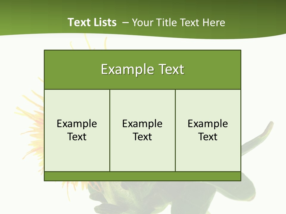 Tinctorius Orange Close PowerPoint Template