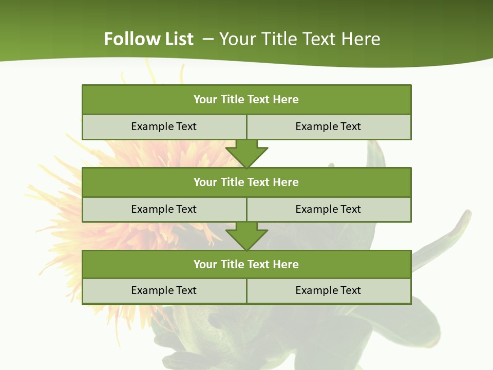 Tinctorius Orange Close PowerPoint Template