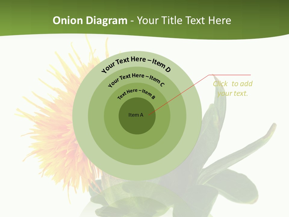 Tinctorius Orange Close PowerPoint Template