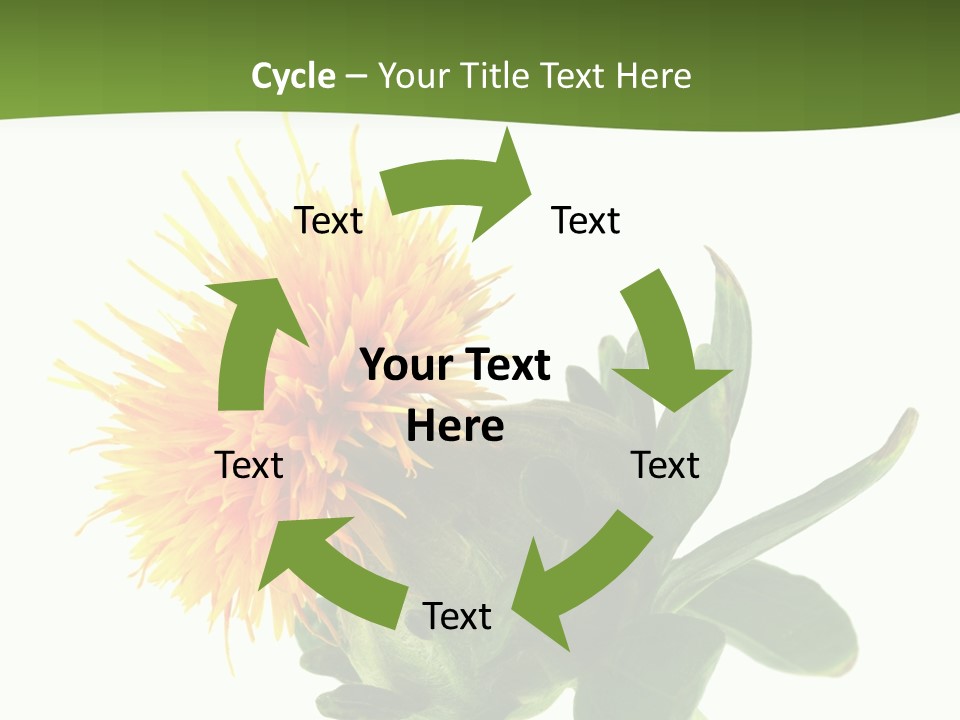 Tinctorius Orange Close PowerPoint Template