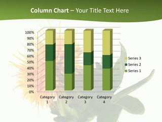 Tinctorius Orange Close PowerPoint Template