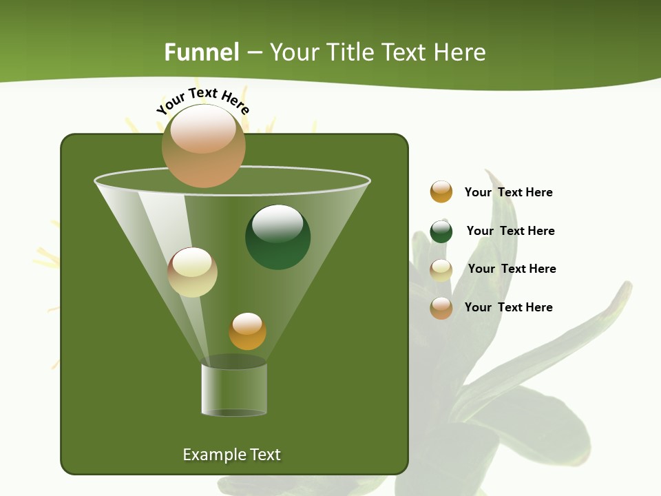 Tinctorius Orange Close PowerPoint Template
