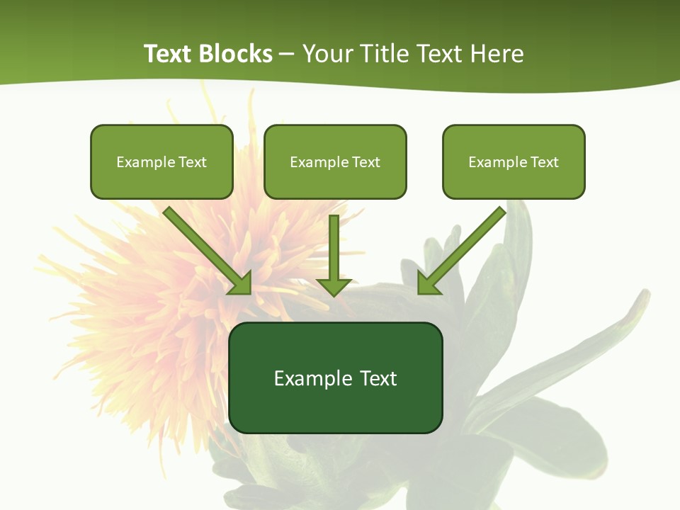 Tinctorius Orange Close PowerPoint Template