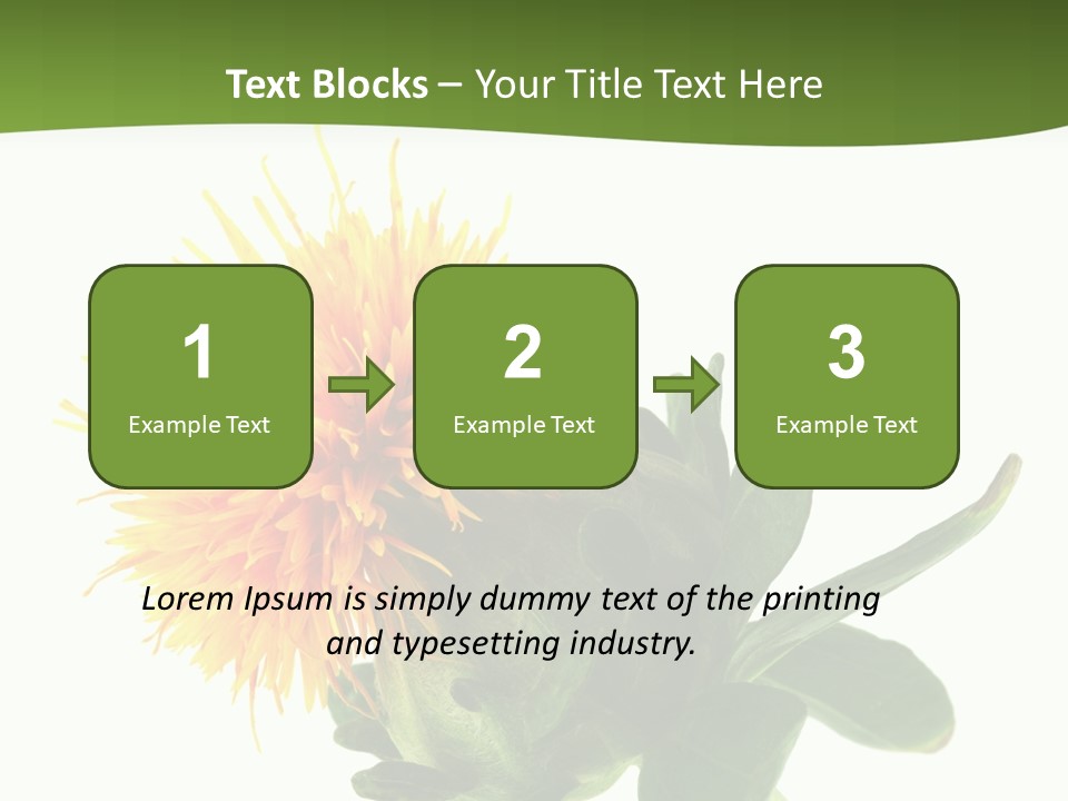 Tinctorius Orange Close PowerPoint Template