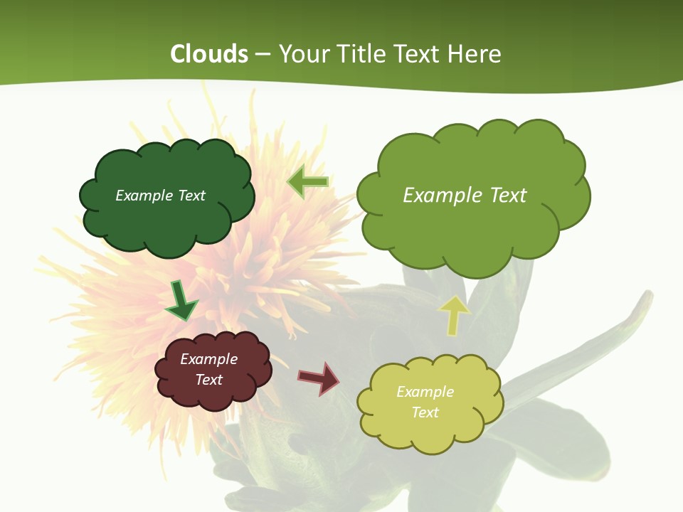 Tinctorius Orange Close PowerPoint Template