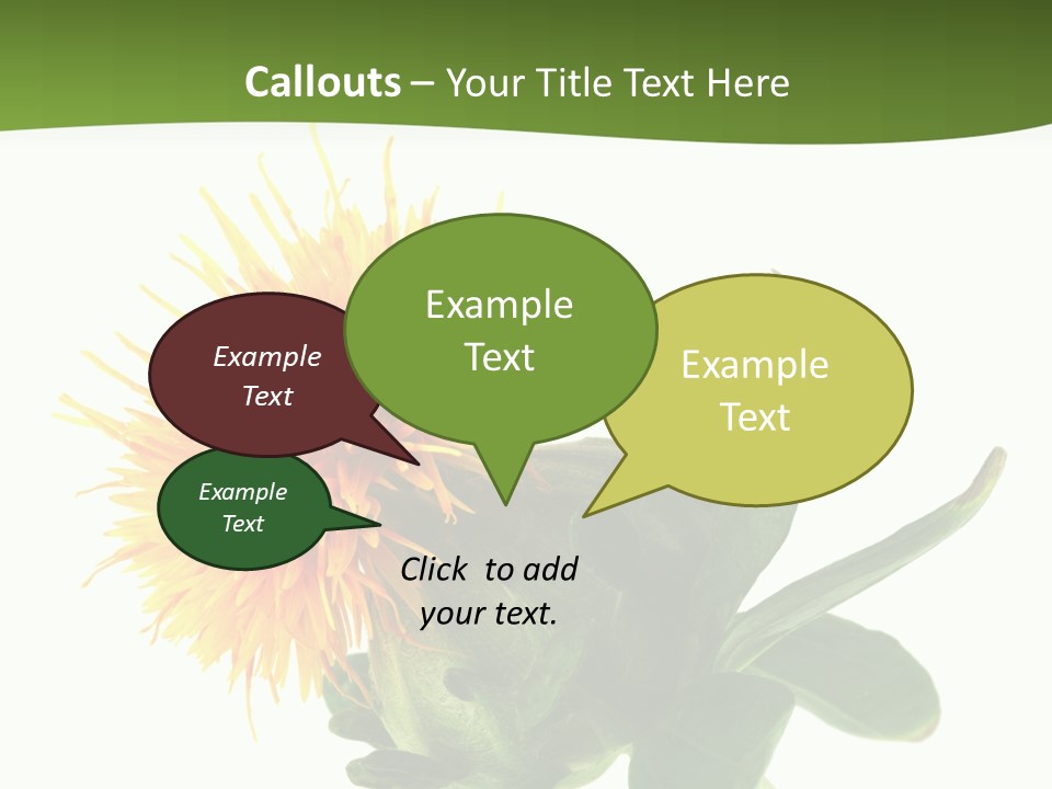 Tinctorius Orange Close PowerPoint Template