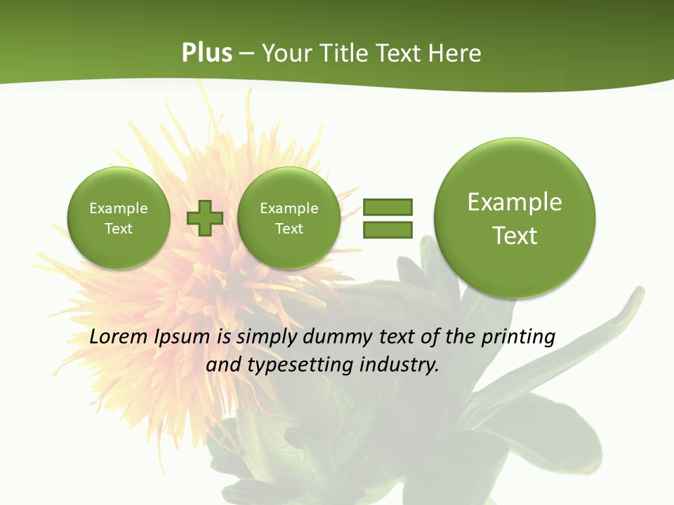 Tinctorius Orange Close PowerPoint Template