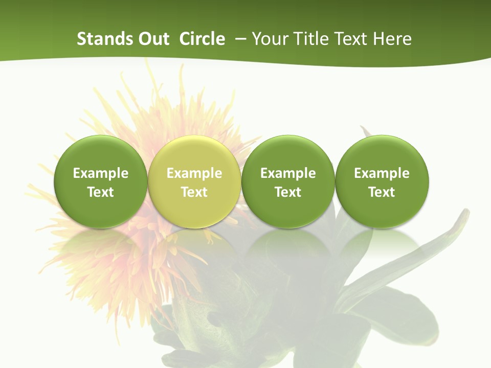 Tinctorius Orange Close PowerPoint Template