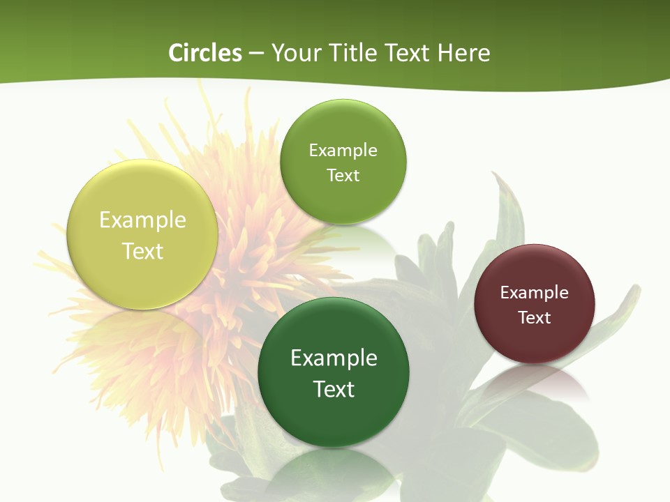 Tinctorius Orange Close PowerPoint Template