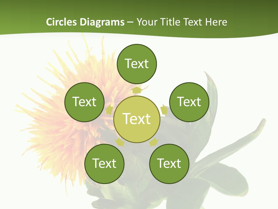 Tinctorius Orange Close PowerPoint Template