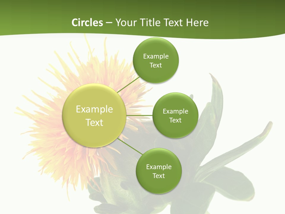 Tinctorius Orange Close PowerPoint Template