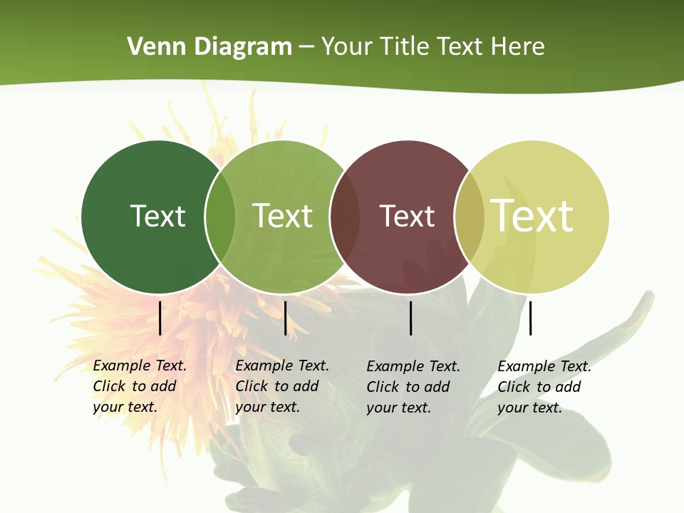 Tinctorius Orange Close PowerPoint Template
