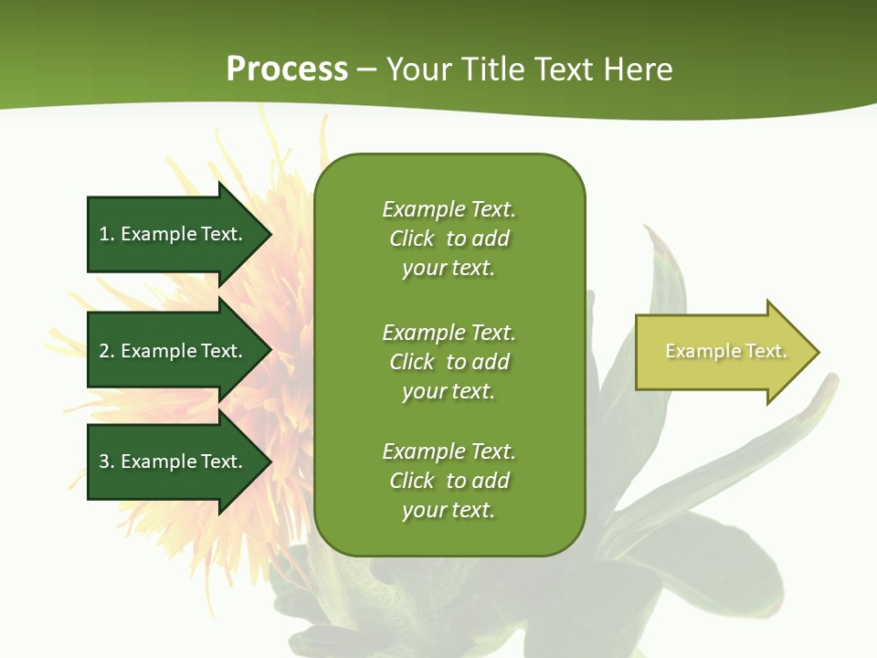 Tinctorius Orange Close PowerPoint Template