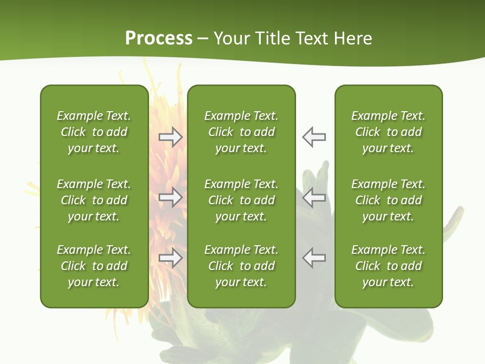 Tinctorius Orange Close PowerPoint Template