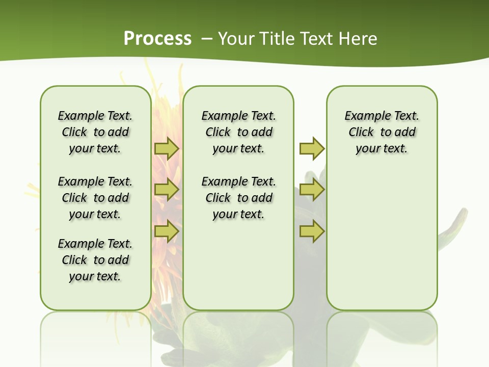 Tinctorius Orange Close PowerPoint Template