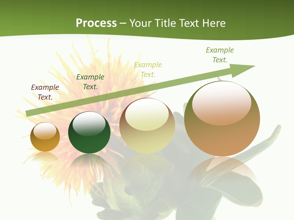 Tinctorius Orange Close PowerPoint Template
