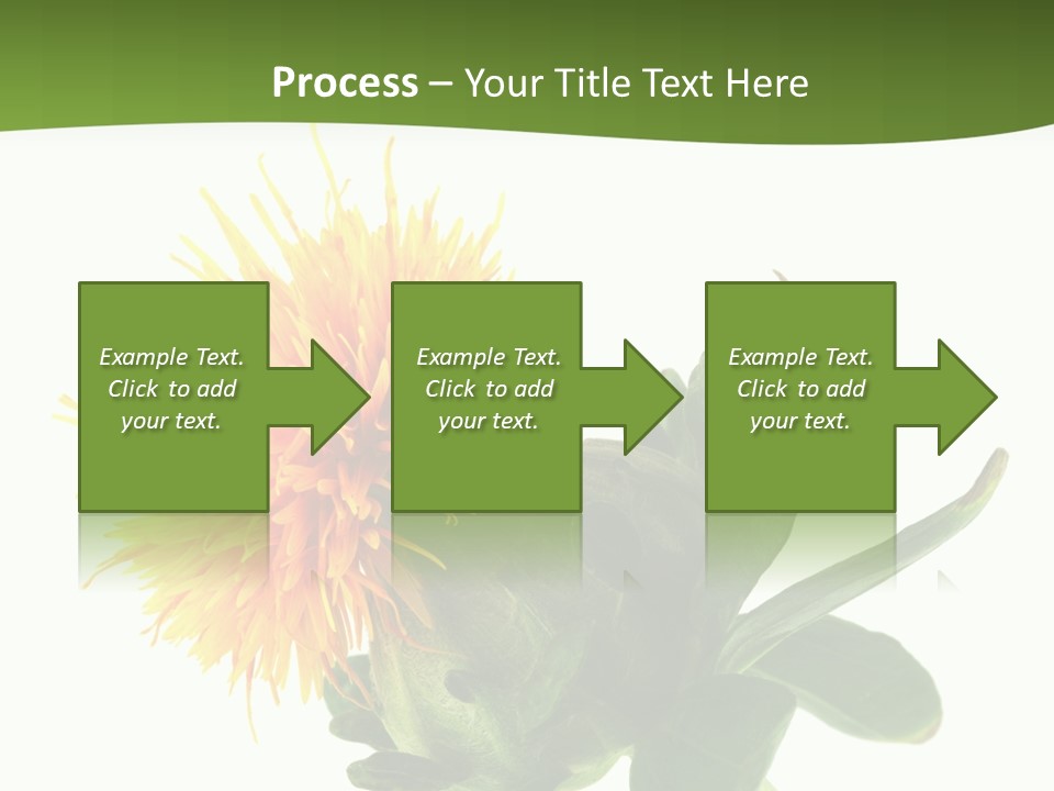 Tinctorius Orange Close PowerPoint Template