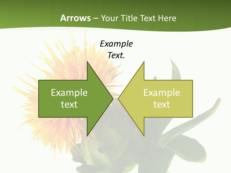 Tinctorius Orange Close PowerPoint Template