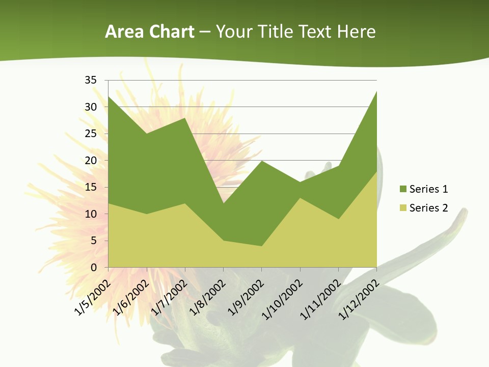 Tinctorius Orange Close PowerPoint Template