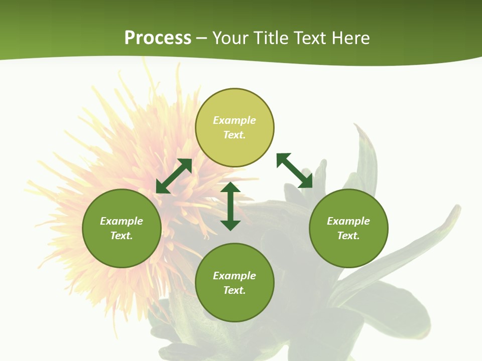 Tinctorius Orange Close PowerPoint Template