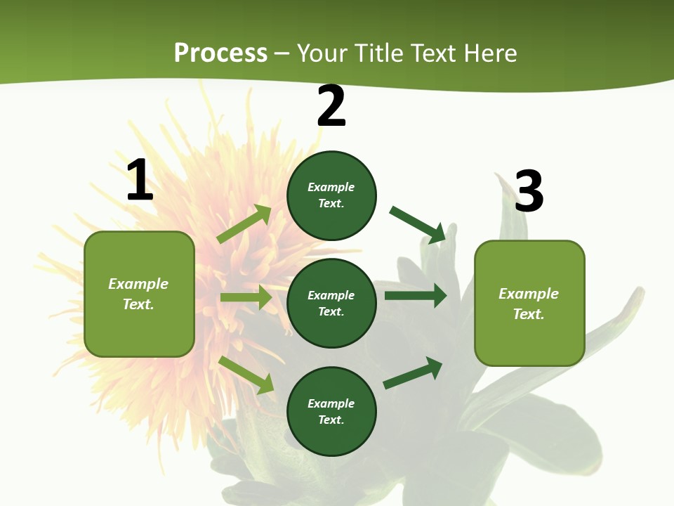 Tinctorius Orange Close PowerPoint Template