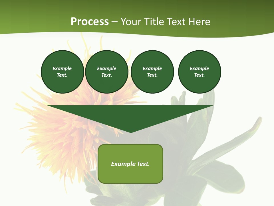 Tinctorius Orange Close PowerPoint Template