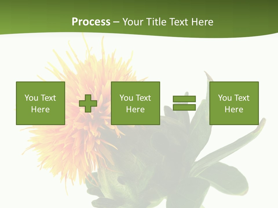 Tinctorius Orange Close PowerPoint Template