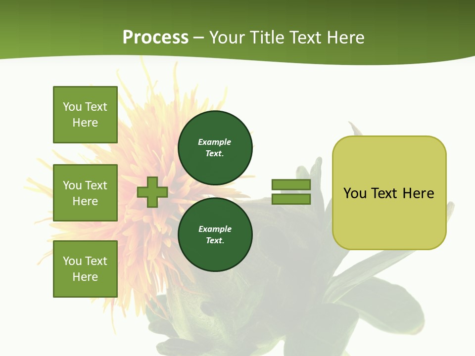 Tinctorius Orange Close PowerPoint Template