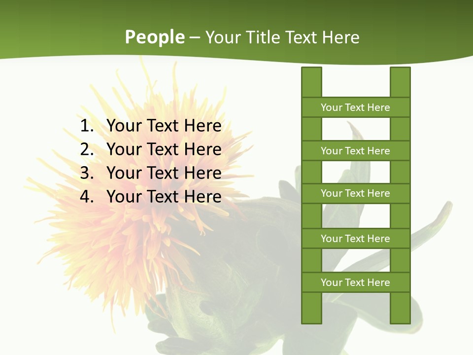 Tinctorius Orange Close PowerPoint Template