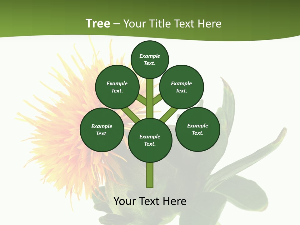 Tinctorius Orange Close PowerPoint Template