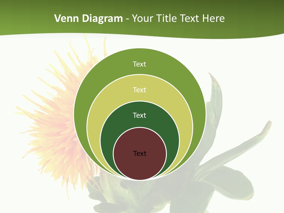 Tinctorius Orange Close PowerPoint Template