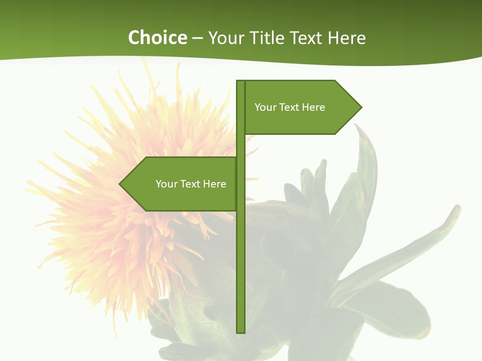 Tinctorius Orange Close PowerPoint Template