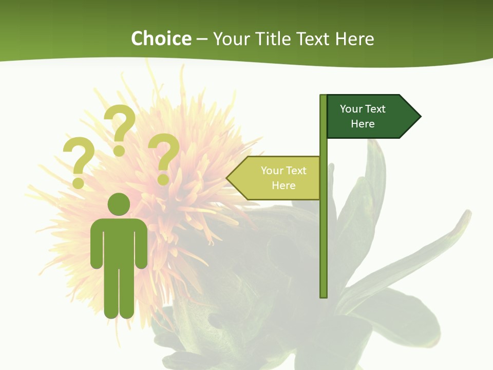 Tinctorius Orange Close PowerPoint Template
