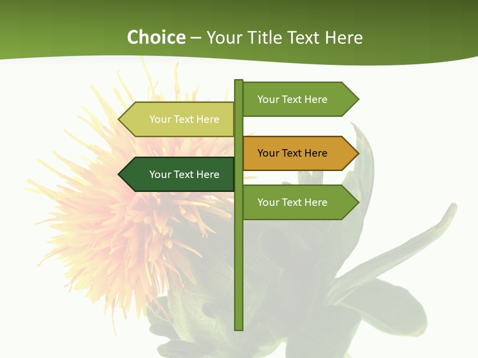 Tinctorius Orange Close PowerPoint Template
