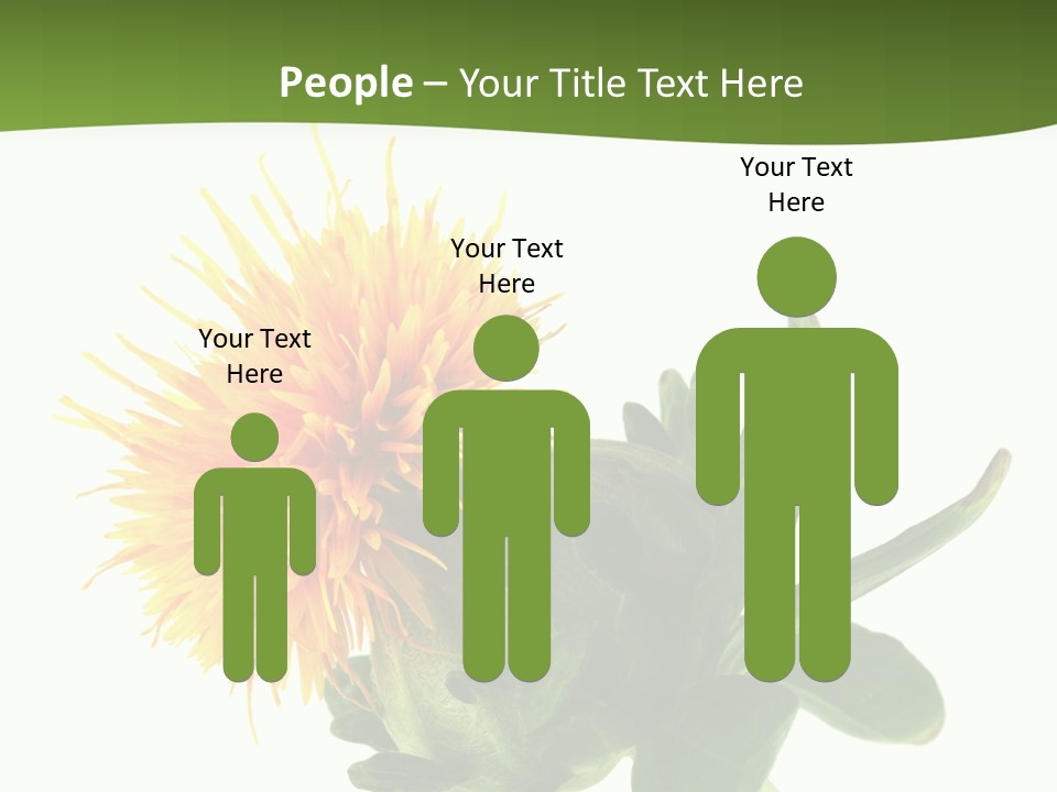 Tinctorius Orange Close PowerPoint Template