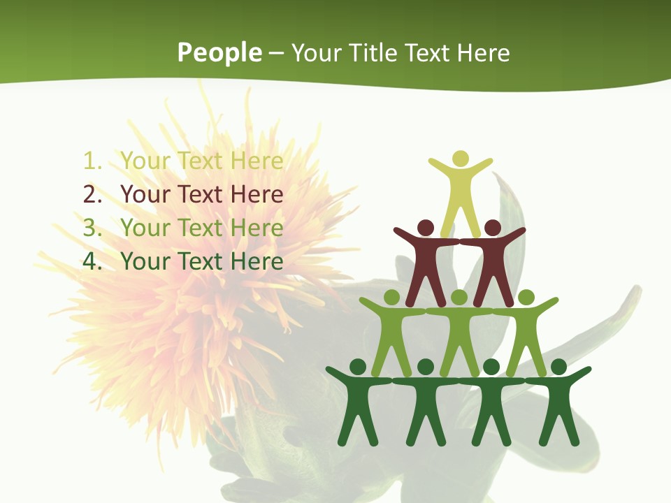 Tinctorius Orange Close PowerPoint Template