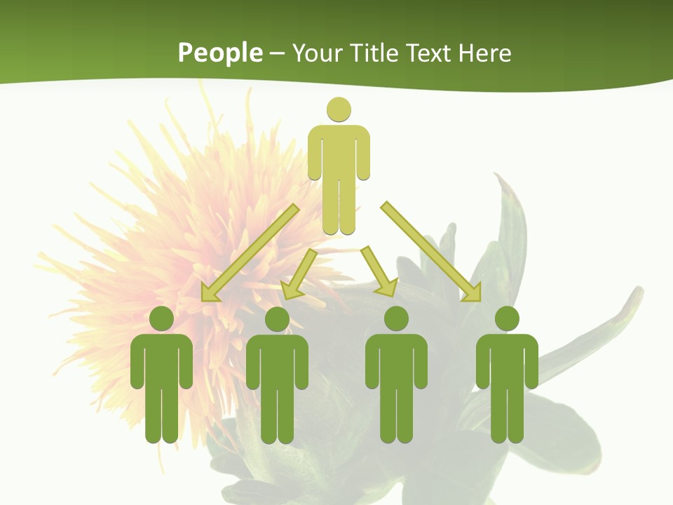 Tinctorius Orange Close PowerPoint Template