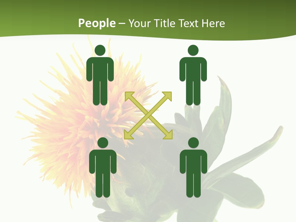 Tinctorius Orange Close PowerPoint Template