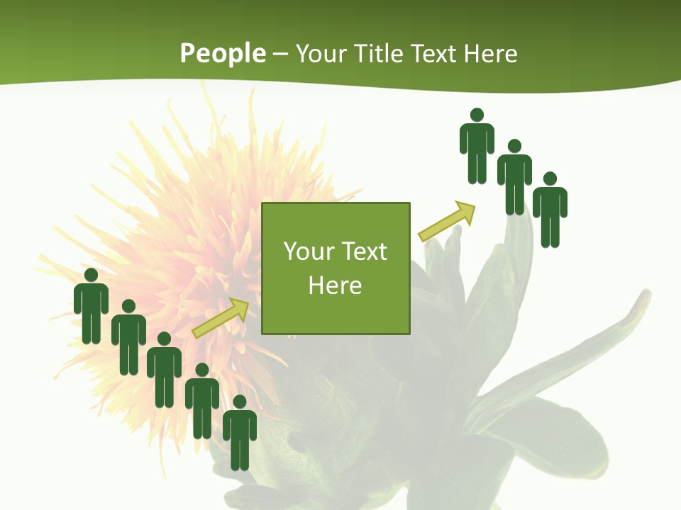 Tinctorius Orange Close PowerPoint Template