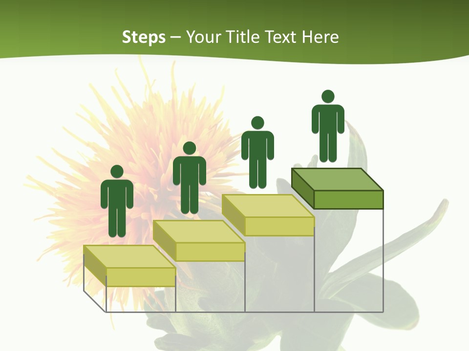 Tinctorius Orange Close PowerPoint Template