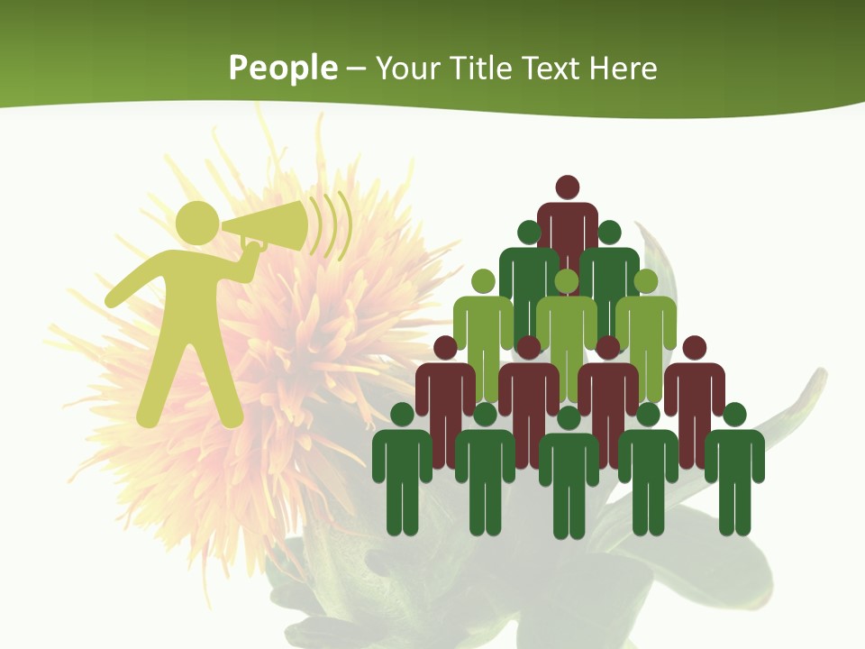 Tinctorius Orange Close PowerPoint Template