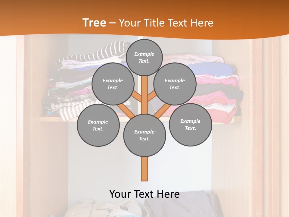 Clothes Shirt Organization PowerPoint Template