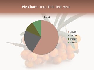 Nutrition Season Autumn PowerPoint Template