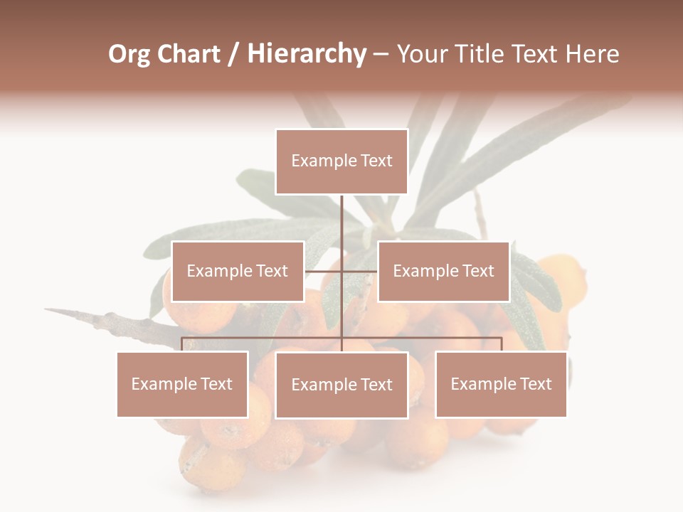 Nutrition Season Autumn PowerPoint Template