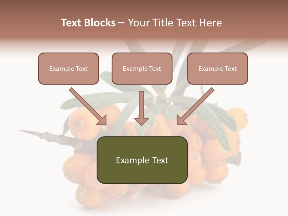 Nutrition Season Autumn PowerPoint Template